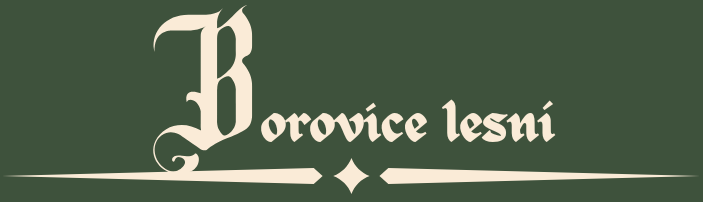borovice-lesni.png